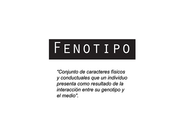 Definición de fenotipo