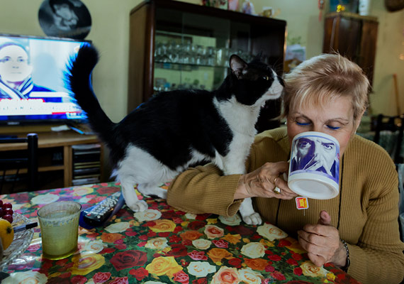 Yo te necesito. La ceremonia del té se simplifica en una taza con la cara de Sandro y las rosas en el mantel de hule. La gata Maqui, atenta, acaricia a su dueña.